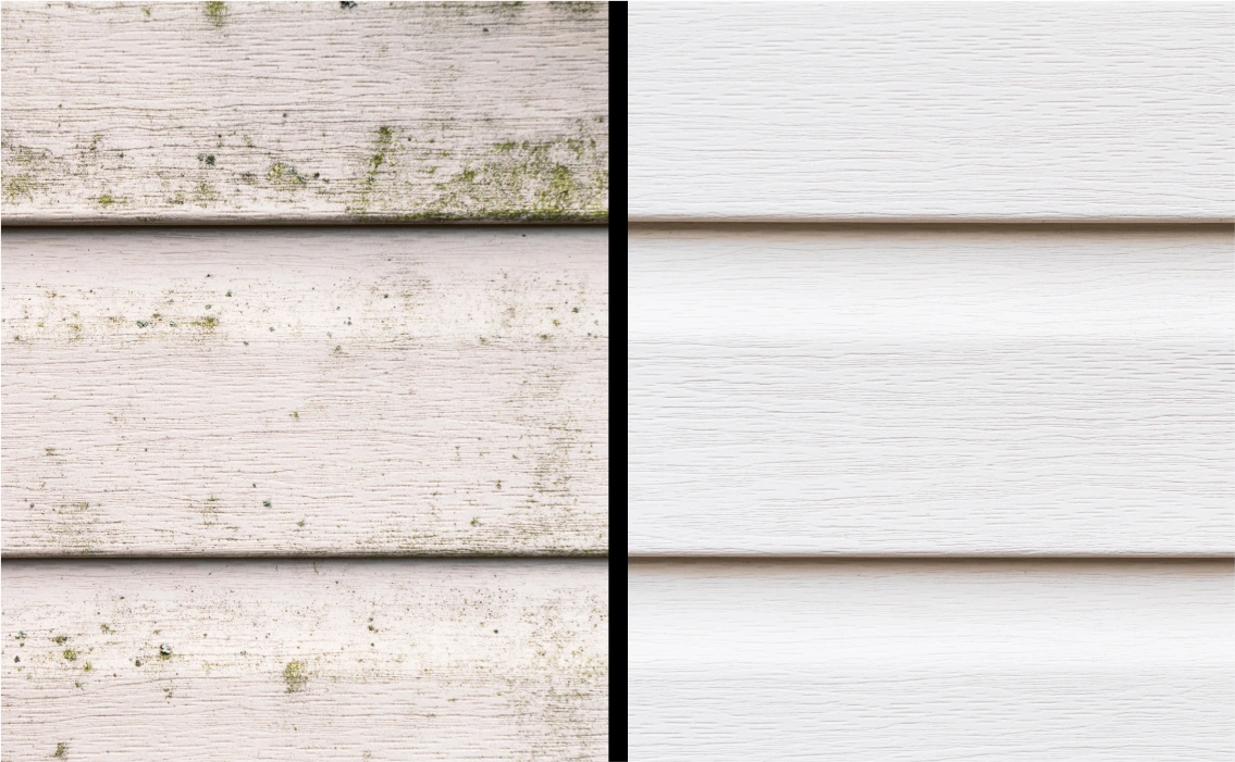 Professional Power Washing in Virginia Beach and Chesapeake VA